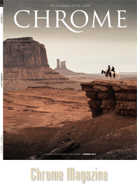 Chrome fall cover 2014